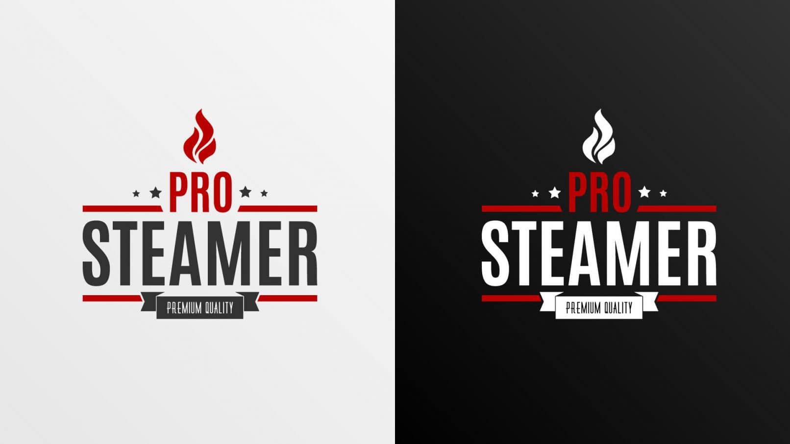 logo-prosteamer